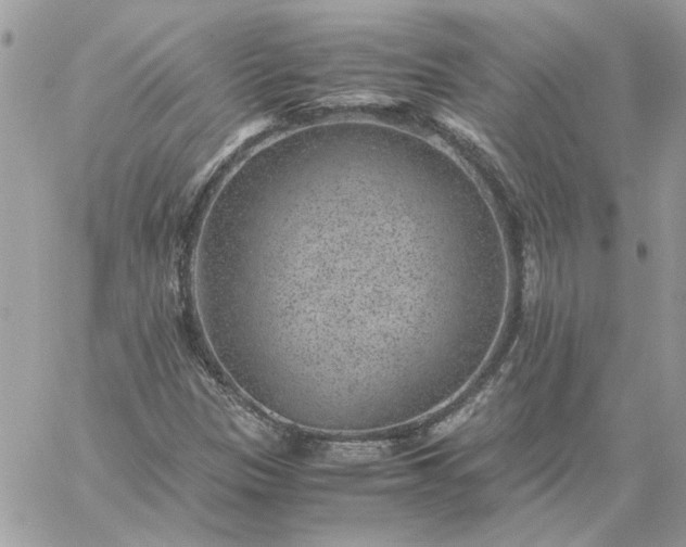 X0000059091305200510172044