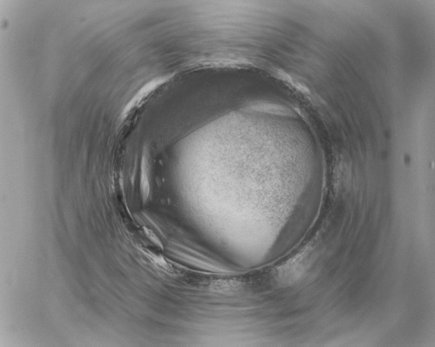 X0000059091306200510172045