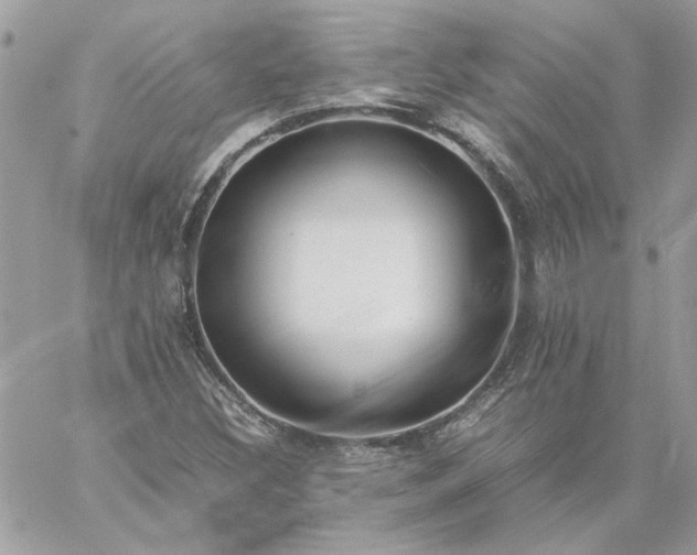 X0000059091308200510172045