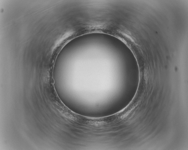 X0000059091309200510172045