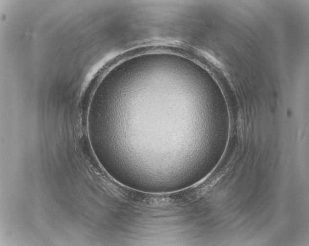 X0000059091310200510172045