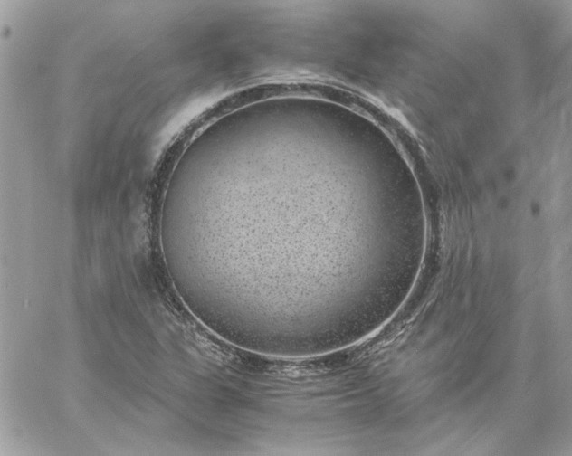 X0000059091311200510172045