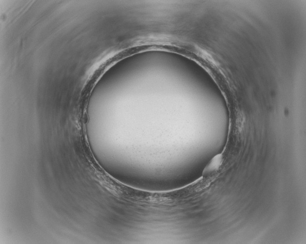 X0000059091312200510172045