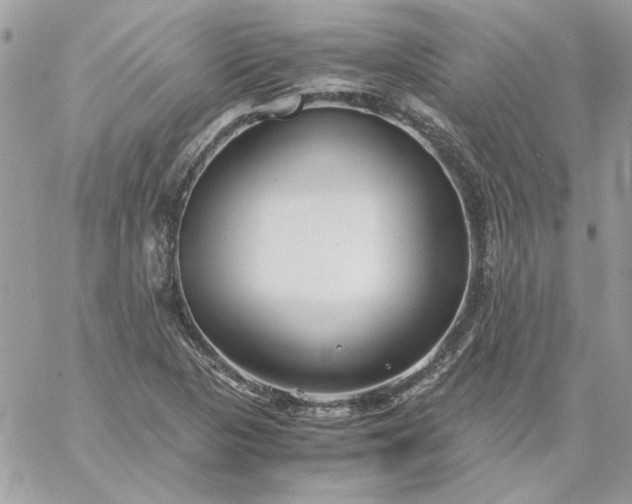 X0000059091313200510172045