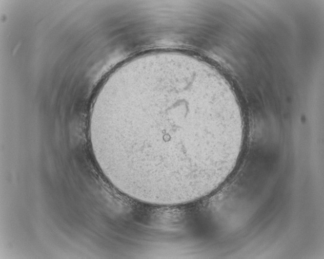 X0000059091314200510172045