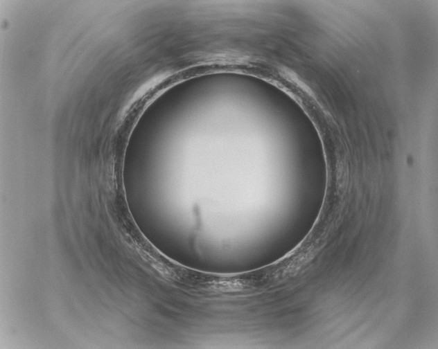 X0000059091315200510172045