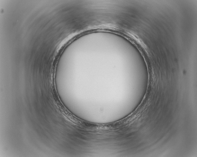 X0000059091316200510172045