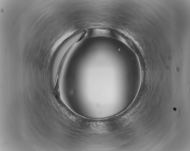 X0000059091317200510172045