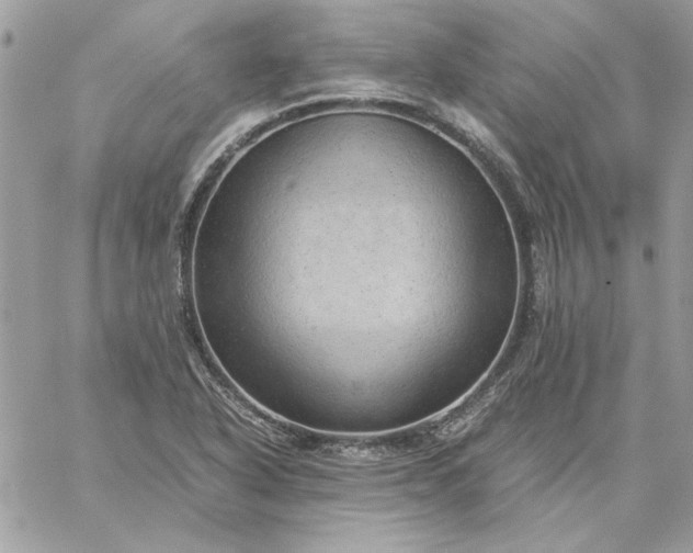 X0000059091318200510172045