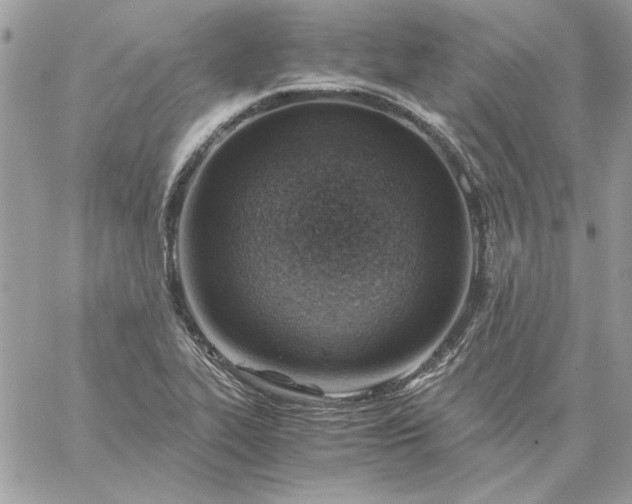 X0000059091319200510172045