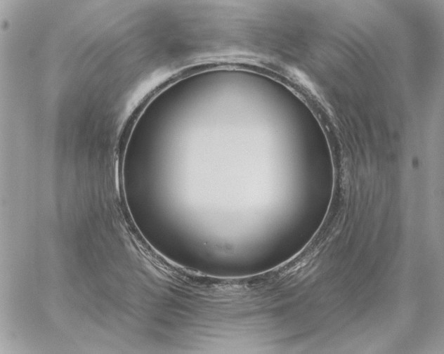 X0000059091320200510172045