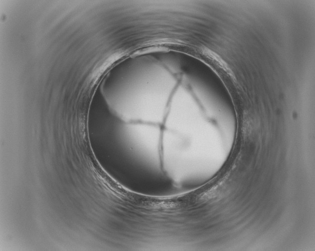 X0000059091321200510172045