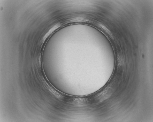 X0000059091322200510172045