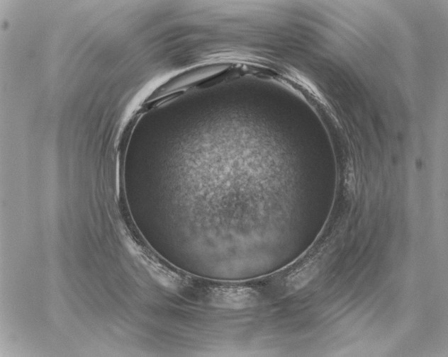 X0000059091323200510172045