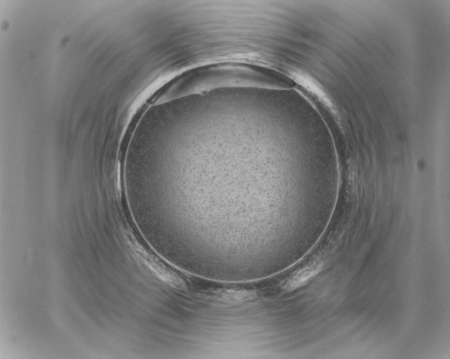 X0000059091324200510172045