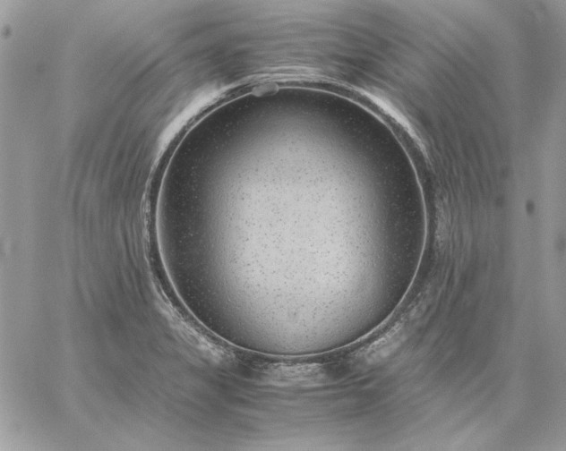 X0000059091325200510172045