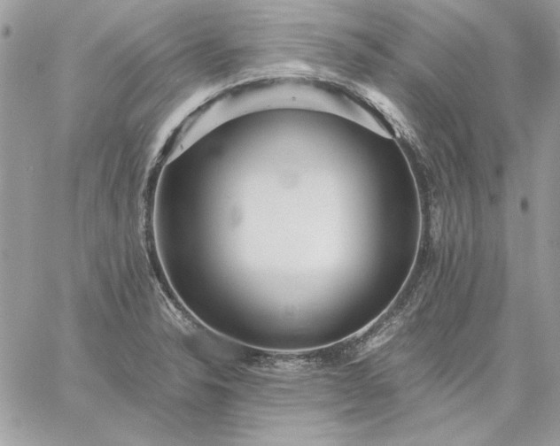 X0000059091326200510172045