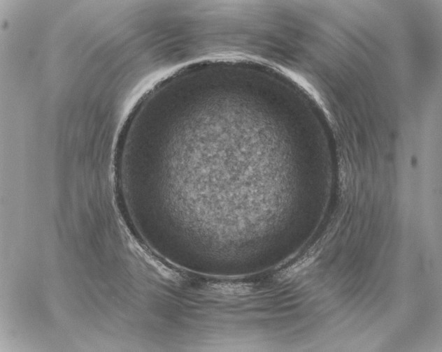 X0000059091327200510172045