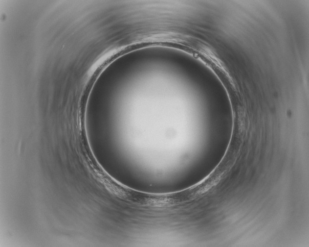 X0000059091328200510172045