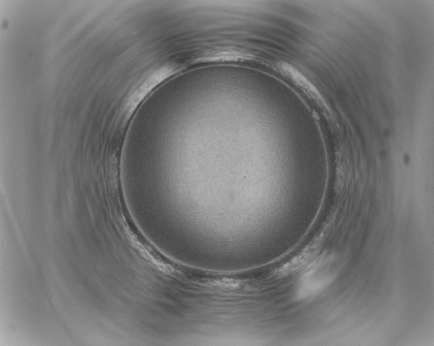 X0000059091329200510172045