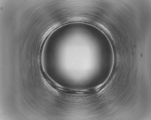 X0000059091330200510172045