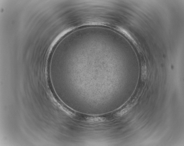 X0000059091331200510172045