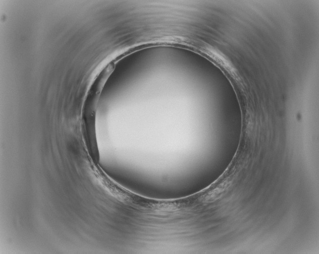 X0000059091332200510172045