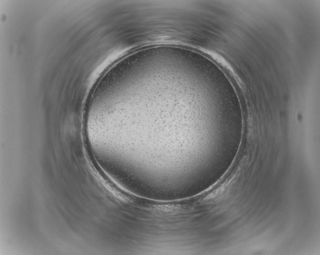 X0000059091333200510172045