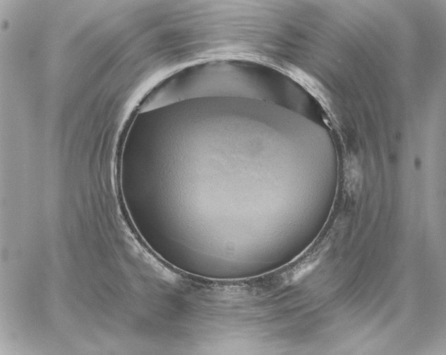 X0000059091334200510172045