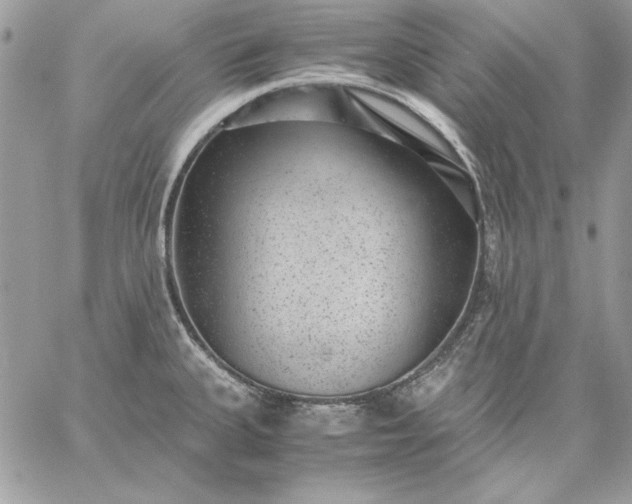 X0000059091335200510172045