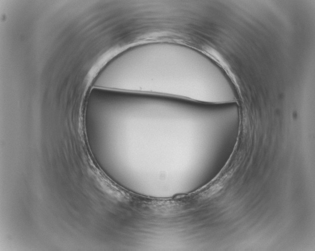 X0000059091336200510172045