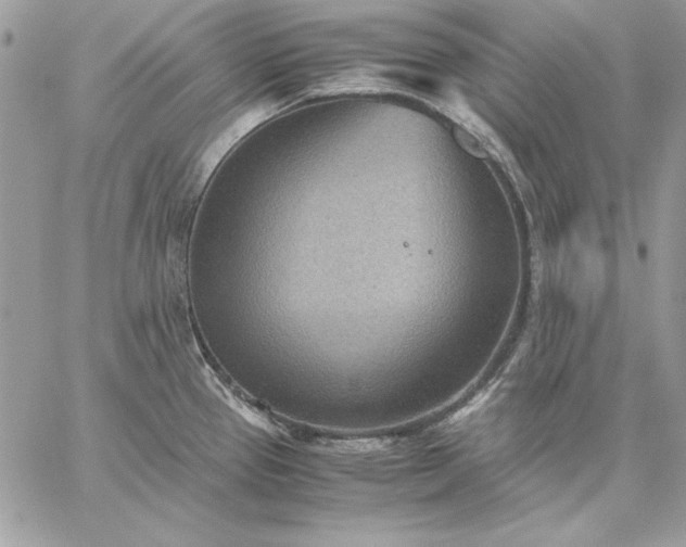 X0000059091337200510172045