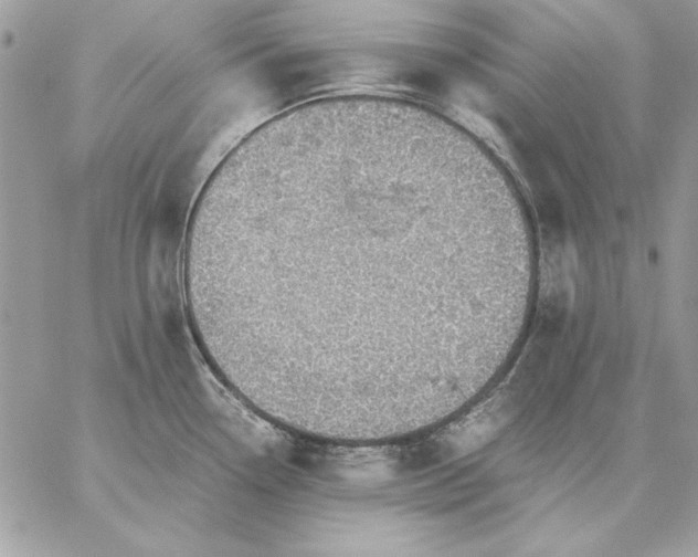 X0000059091338200510172045