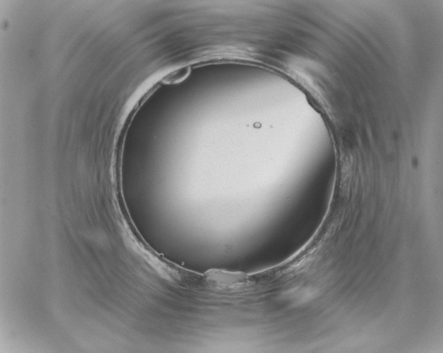 X0000059091339200510172045