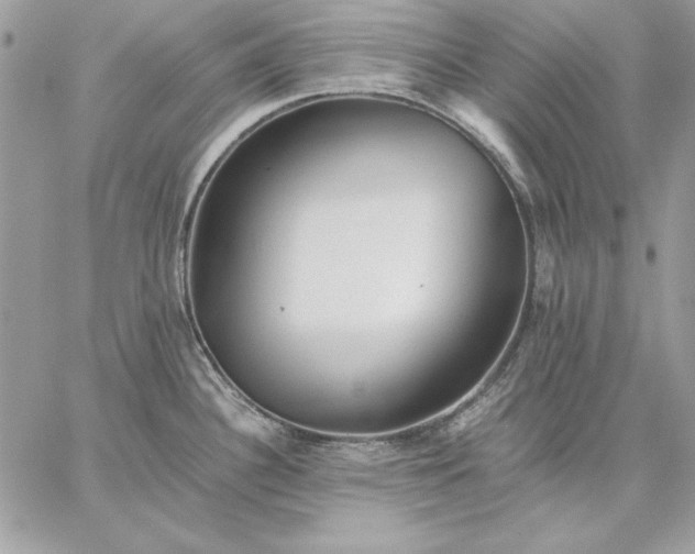 X0000059091340200510172045