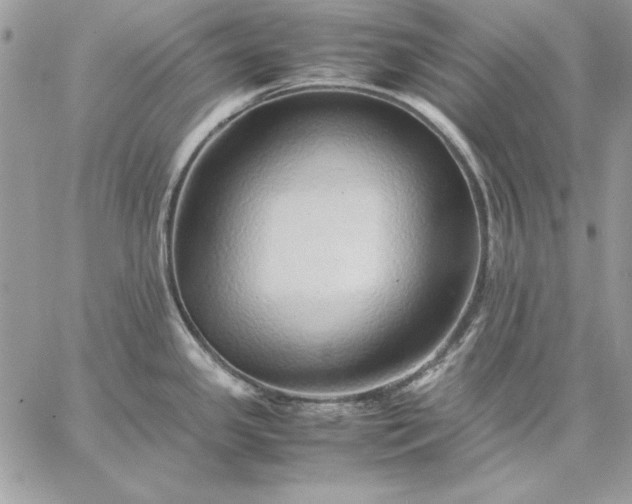 X0000059091341200510172045