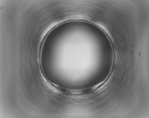 X0000059091342200510172045