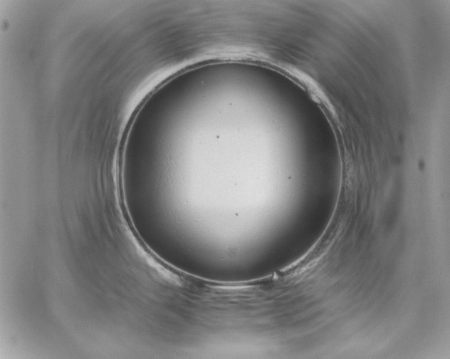 X0000059091343200510172045