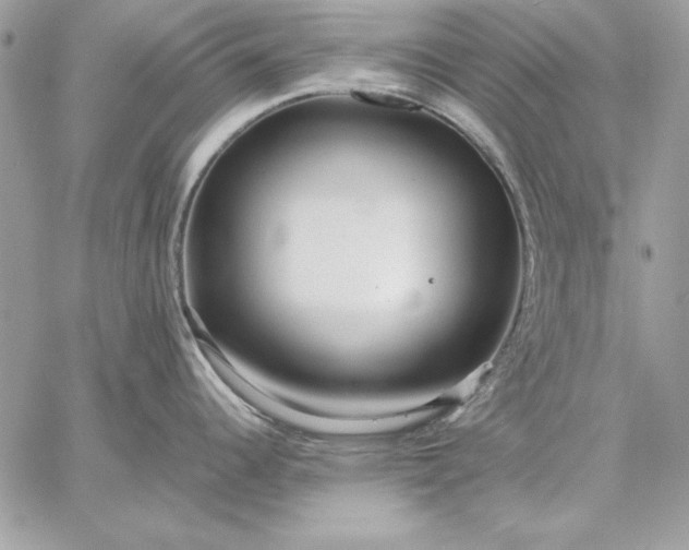 X0000059091344200510172045