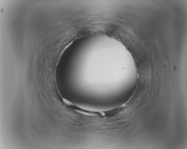 X0000059091345200510172044