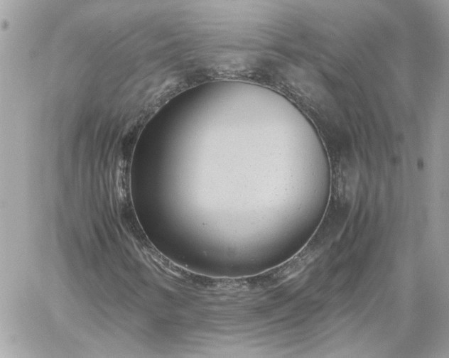 X0000059091346200510172044