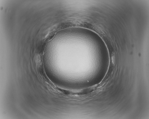 X0000059091347200510172044