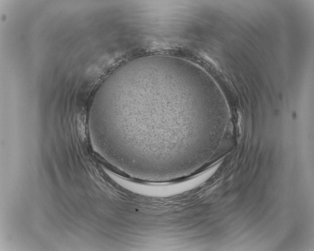 X0000059091348200510172044