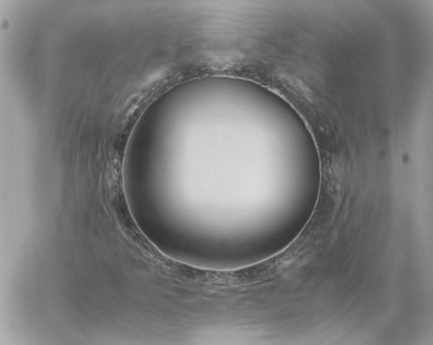 X0000059091349200510172044