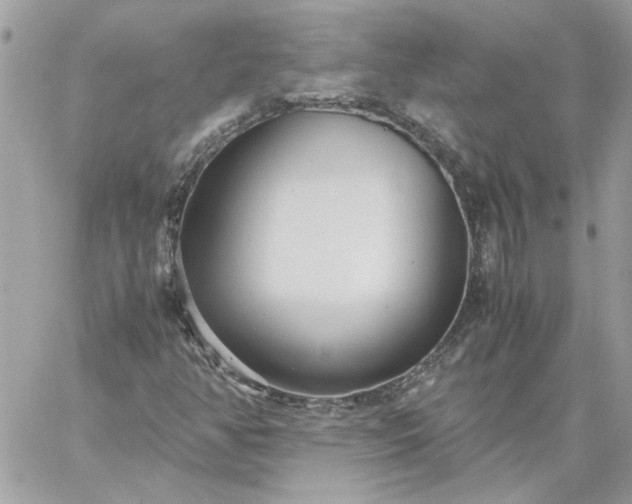 X0000059091350200510172044