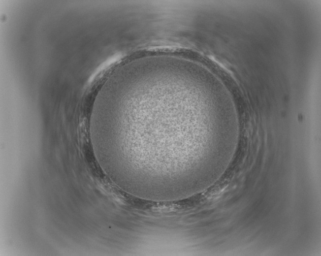 X0000059091351200510172044