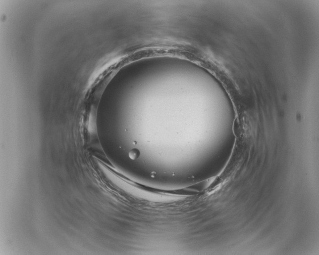 X0000059091352200510172044