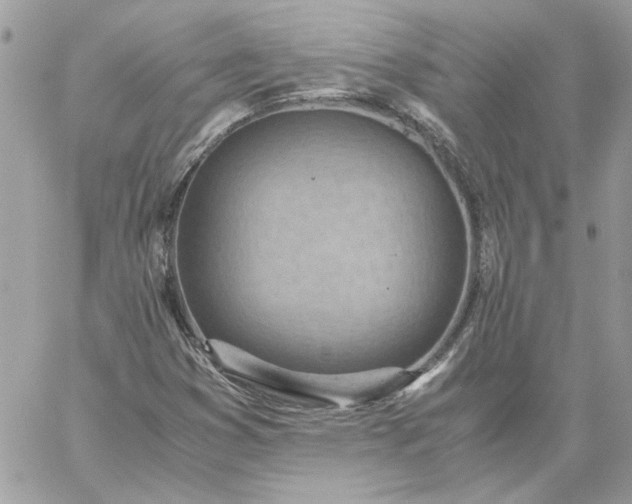 X0000059091353200510172044