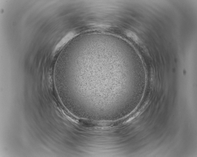 X0000059091354200510172044