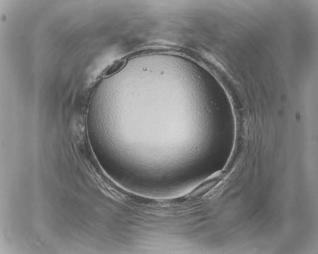 X0000059091355200510172044